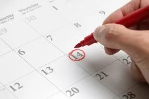 Calendar, Planner, Day Book