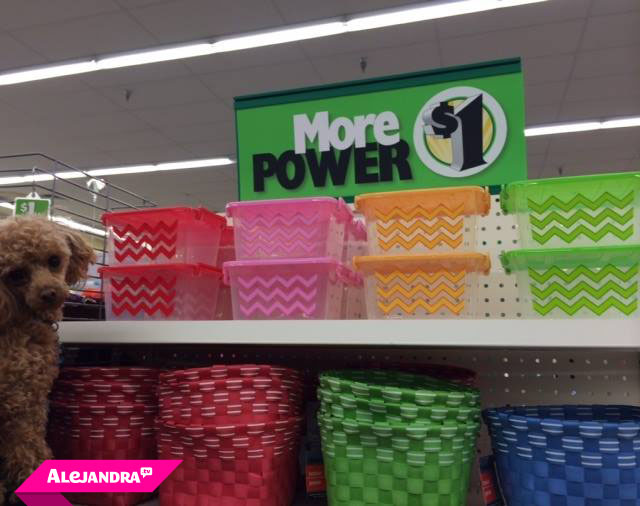 Spring has sprung at Dollar Tree!