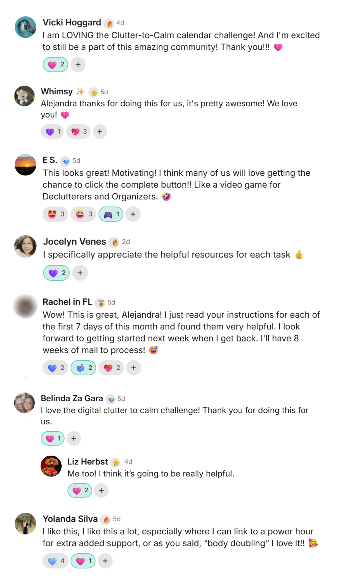 Clutter-to-Calm Challenge Testimonials